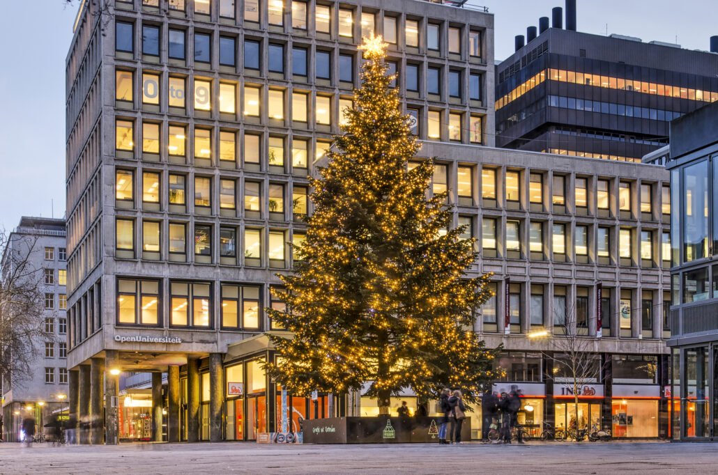 xxl-grote-kerstboom-marktplein-dorp-stad-001